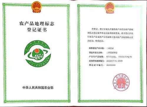 农产品三品一标 重要性解析与申请认证全流程指南